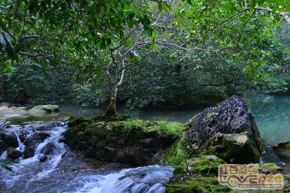 了解知识星球平台腰果虾仁的做法家常怎么做?,获取精彩知识分享