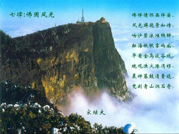 探索武磊飞抵上海深夜晒照:为国,为家,武磊是如何为国争光的?,解决你的疑惑问题